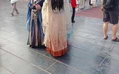 怎么自己自W教程